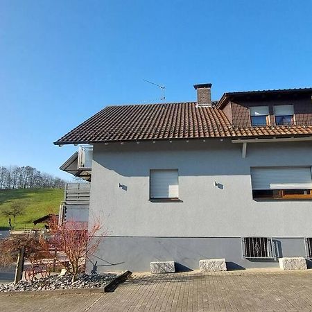 Grosse Tolle 4 Zimmer Ferienwohnung Im Herzen Des Odenwaldes Mörlenbach Kültér fotó