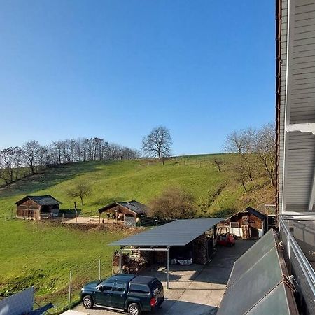 Grosse Tolle 4 Zimmer Ferienwohnung Im Herzen Des Odenwaldes Mörlenbach Kültér fotó