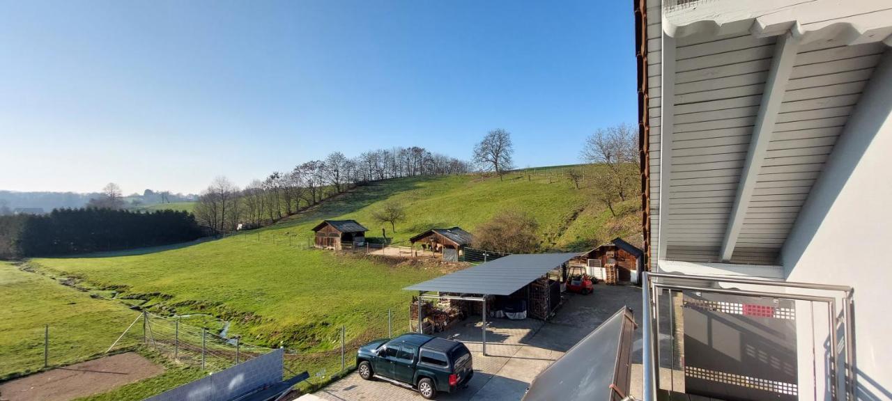 Grosse Tolle 4 Zimmer Ferienwohnung Im Herzen Des Odenwaldes Mörlenbach Kültér fotó