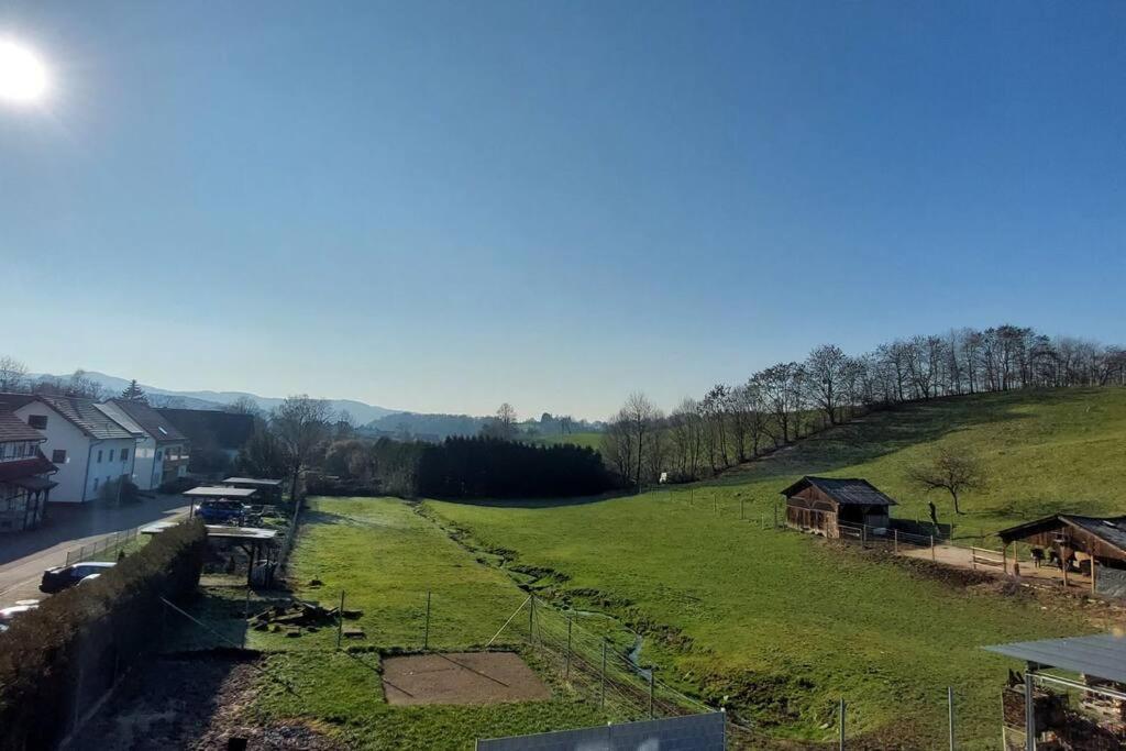 Grosse Tolle 4 Zimmer Ferienwohnung Im Herzen Des Odenwaldes Mörlenbach Kültér fotó