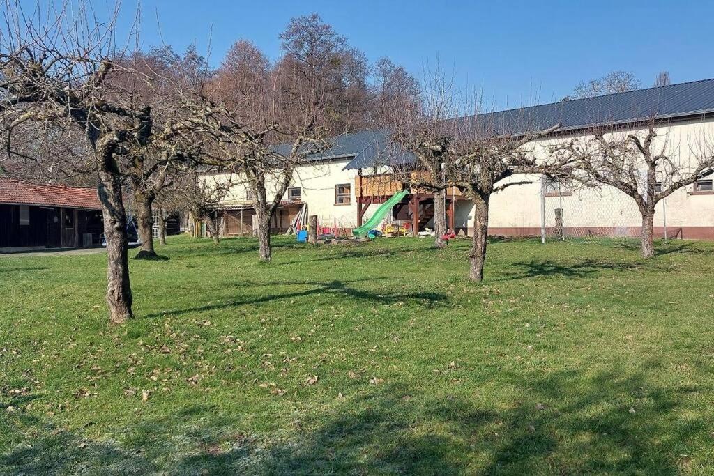 Grosse Tolle 4 Zimmer Ferienwohnung Im Herzen Des Odenwaldes Mörlenbach Kültér fotó