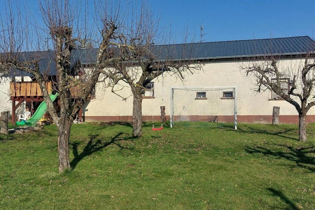Grosse Tolle 4 Zimmer Ferienwohnung Im Herzen Des Odenwaldes Mörlenbach Kültér fotó