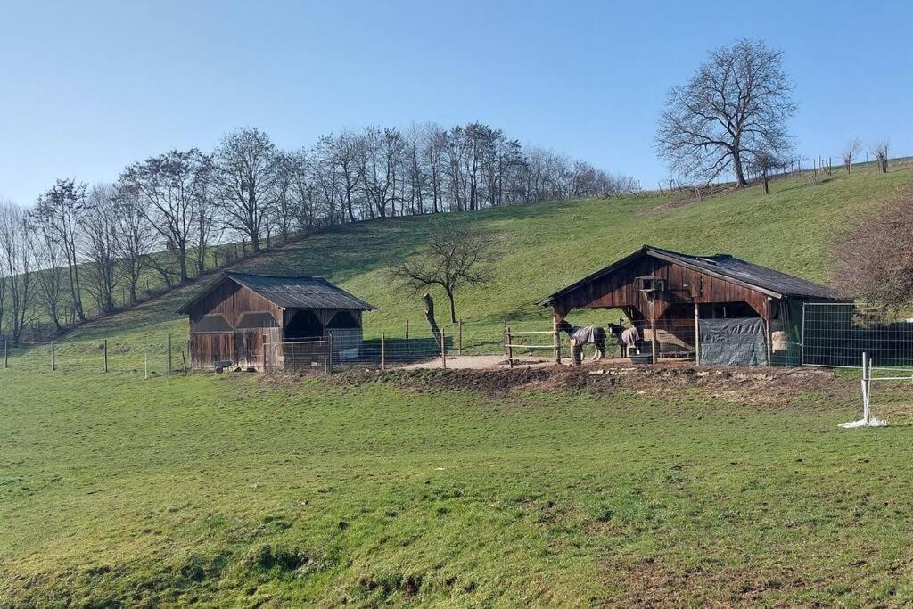 Grosse Tolle 4 Zimmer Ferienwohnung Im Herzen Des Odenwaldes Mörlenbach Kültér fotó