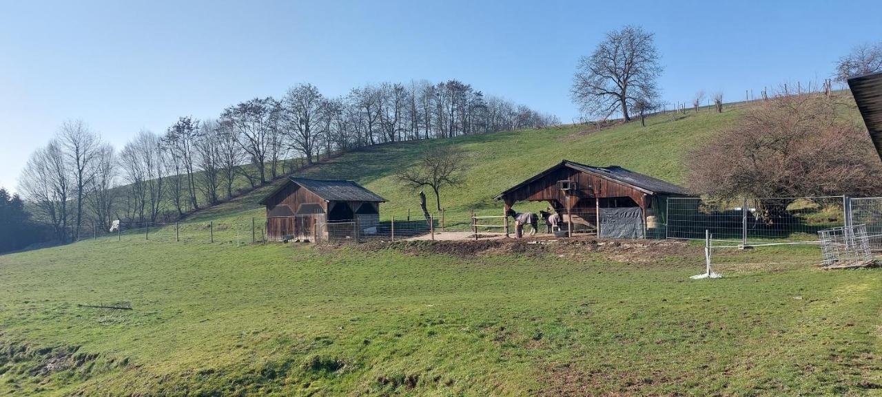 Grosse Tolle 4 Zimmer Ferienwohnung Im Herzen Des Odenwaldes Mörlenbach Kültér fotó